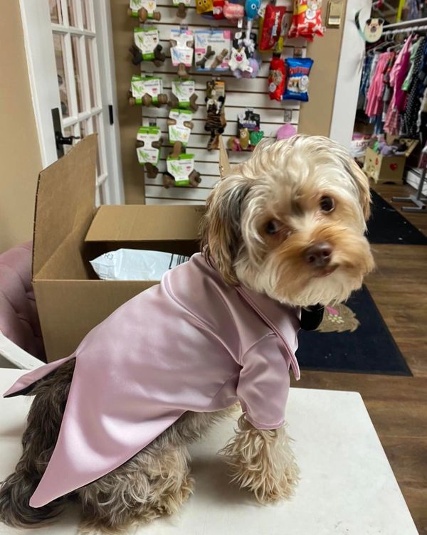 The Posh Pet Boutique Dog Clothes, Dog Boutique